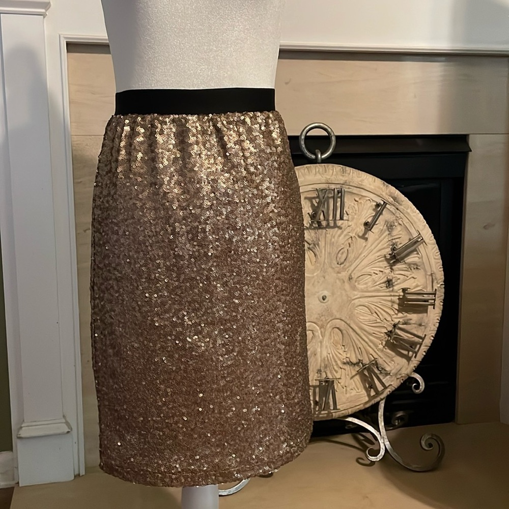 Splendid brand Sequin Skirt